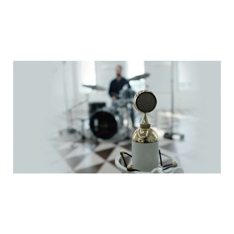 017_TUBE_(vacuum_tube_microphone)_(Pre-order_item,_delivery_date_will_be_announced_separately)_05