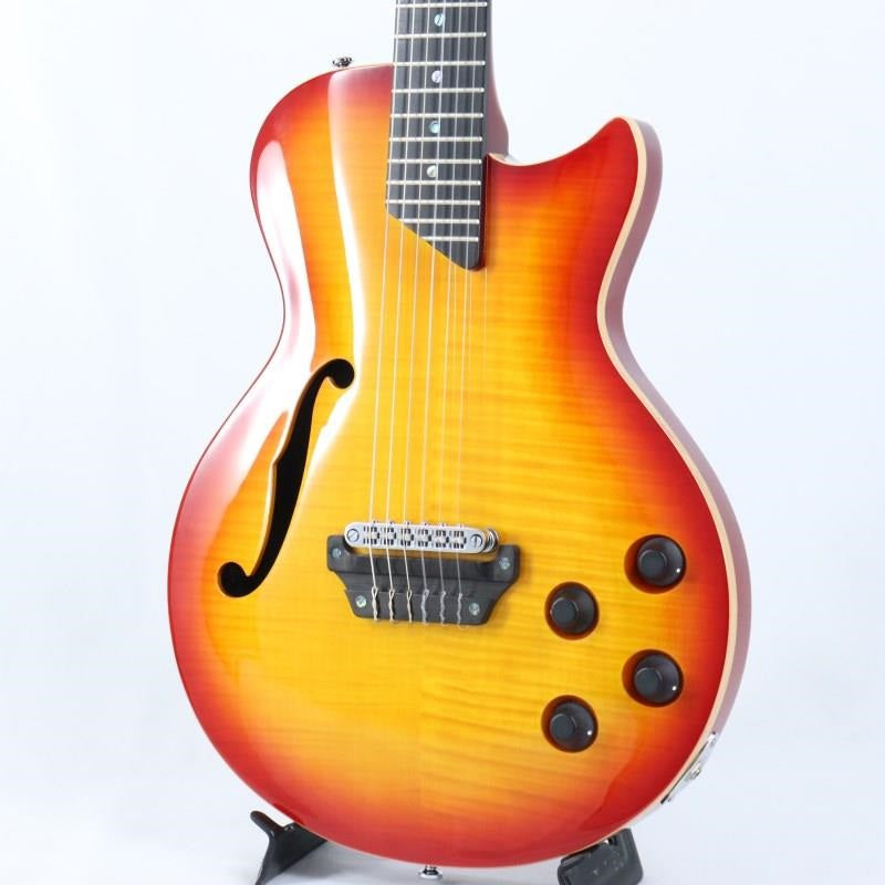 MM_Produce_SE-01_F_(CS)_MD_Guitars_01