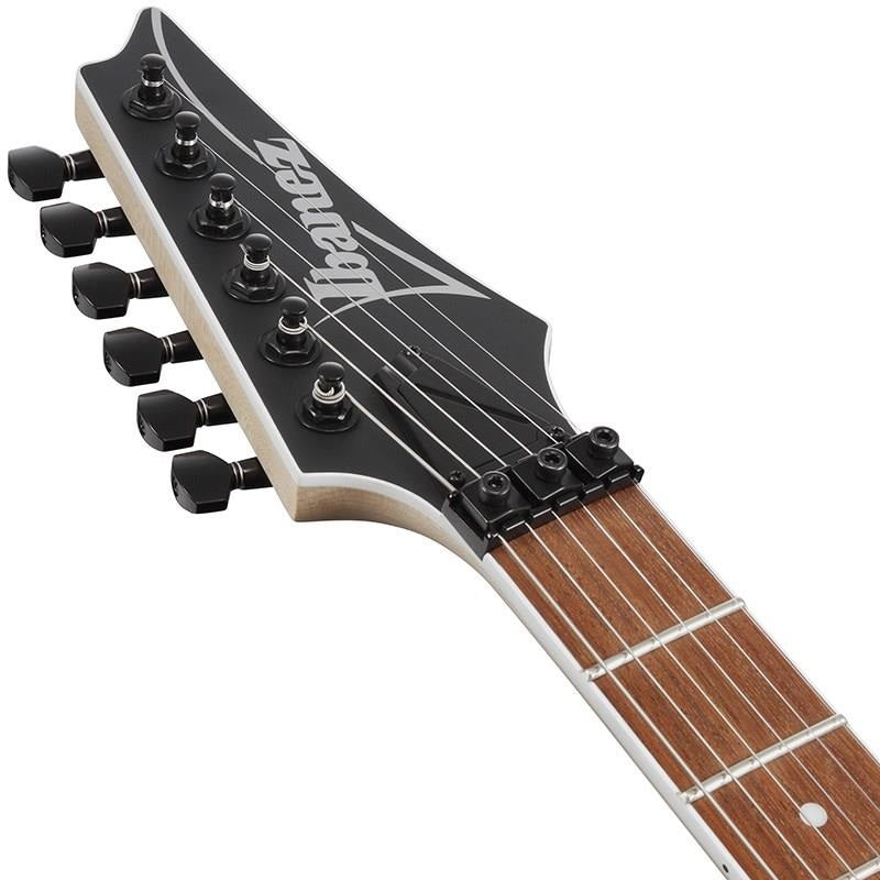 RG420EX-BKF_(Black_Flat)_05