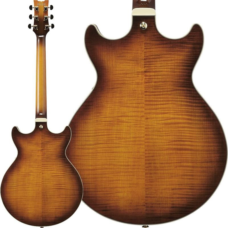 ARTSTAR_AM153FM-ATT_(Antique_Tobacco_Burst)_02