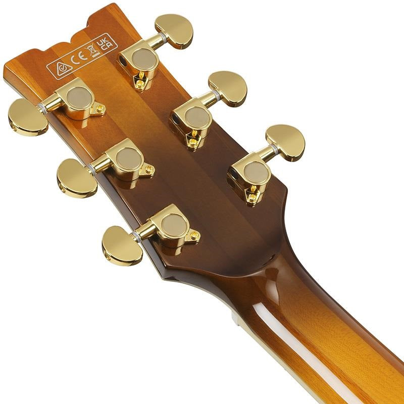ARTSTAR_AM153FM-ATT_(Antique_Tobacco_Burst)_06