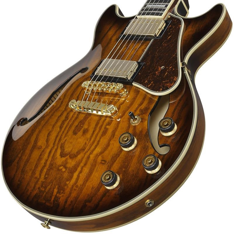 Artcore_Expressionist_AM93QA-VVH_(Vintage_Violin_High_Gloss)_03