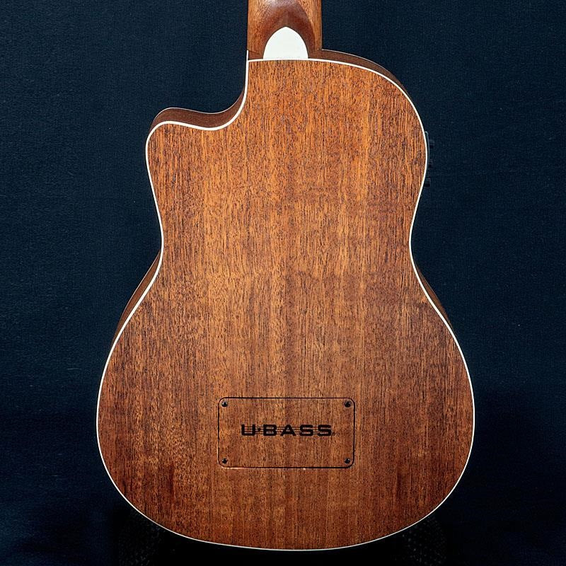 USED_UBASS-SCOUT-FS_02