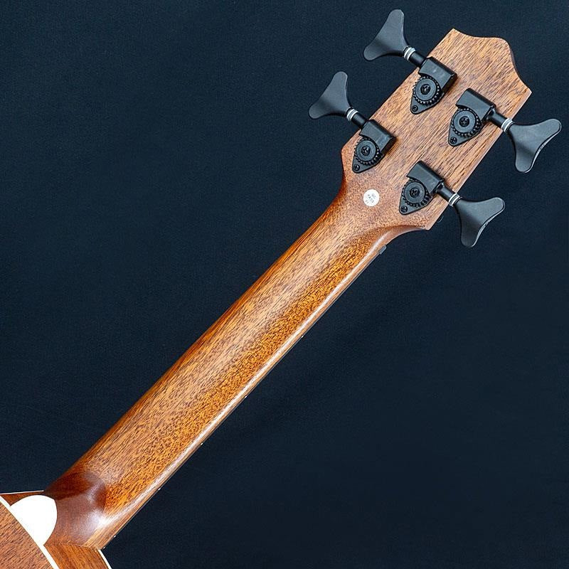 USED_UBASS-SCOUT-FS_06