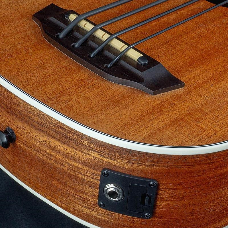 USED_UBASS-SCOUT-FS_10