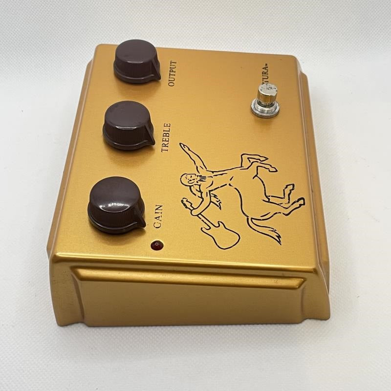 USED_Centura_Matte_Gold_04