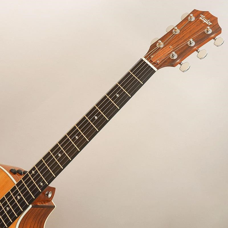 USED_214ce_DLX_'13_Taylor_09