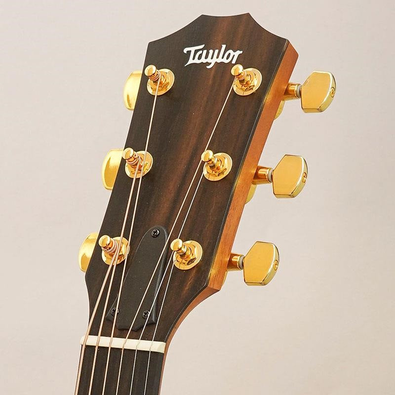USED_224ce_Koa_DLX_'25_Taylor_10