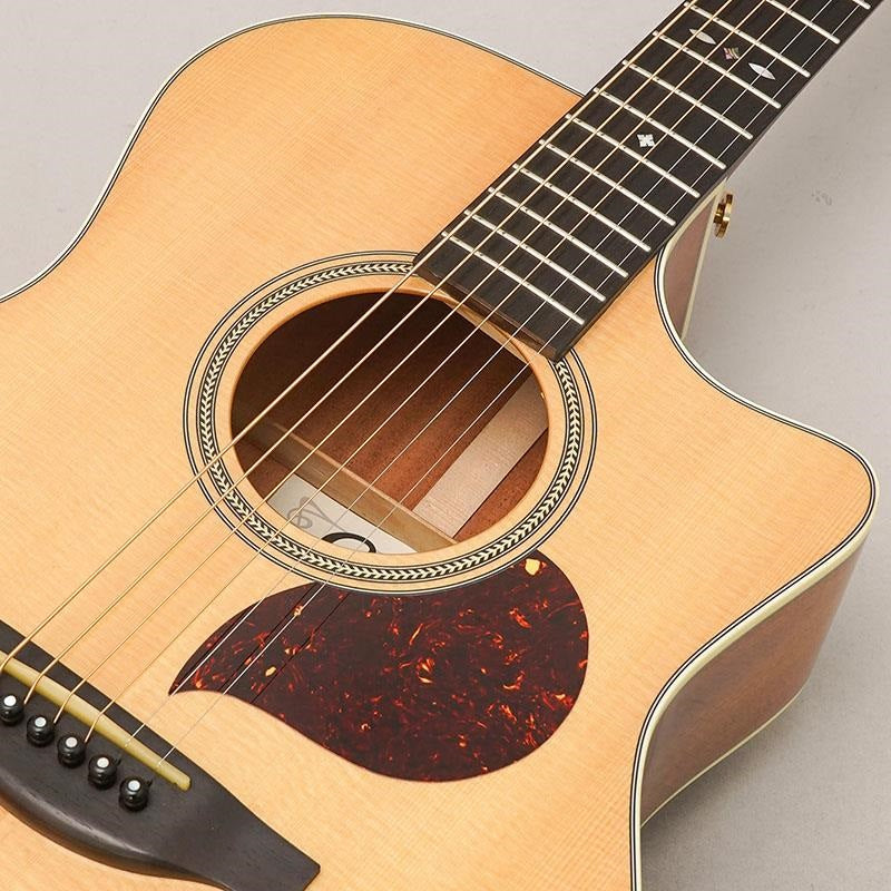 USED_Starsun_Guitars_F120-GA_07