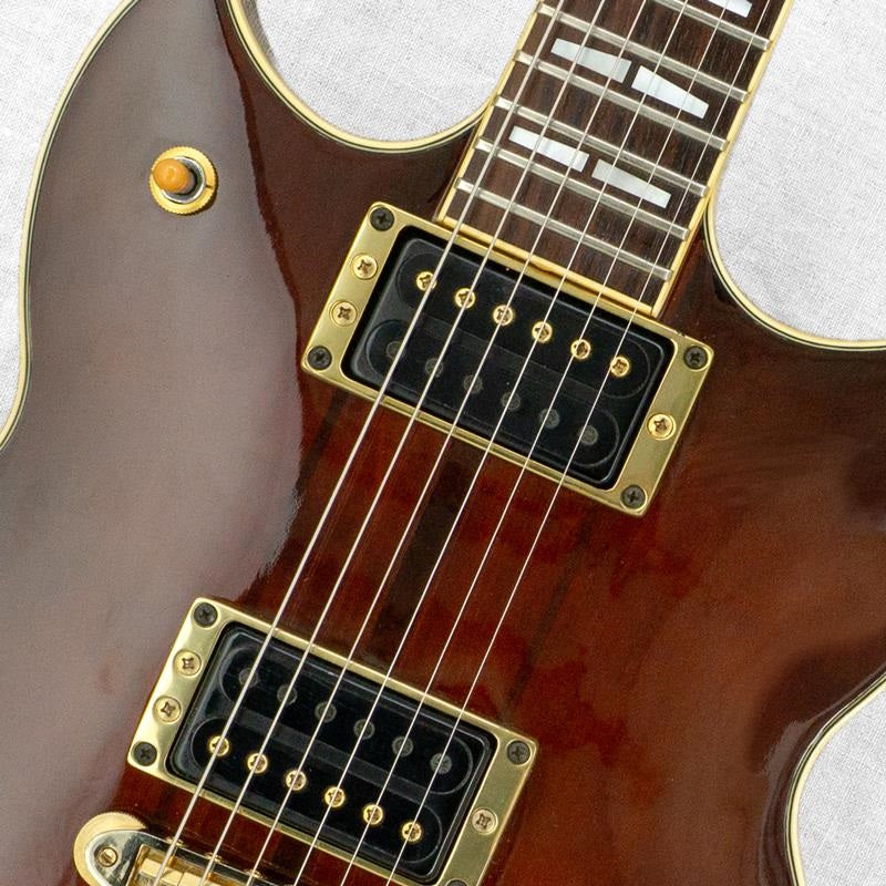 VINTAGE_SG-1500_'81_Oil_Stain_05