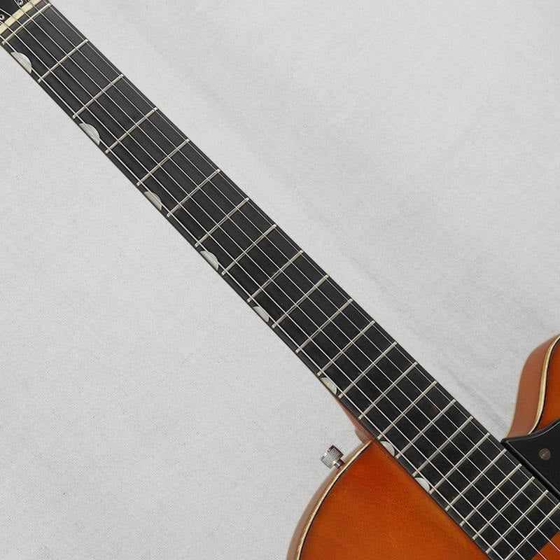 VINTAGE_6119_Chet_Atkins_Tennessean_'59_09