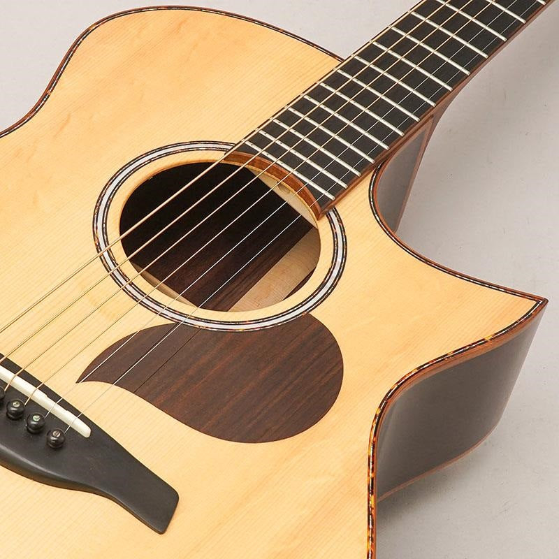 USED_Starsun_Guitars_R60_07