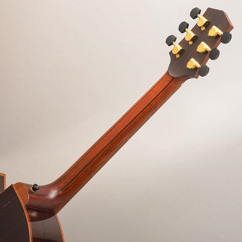 USED_Starsun_Guitars_R60_10