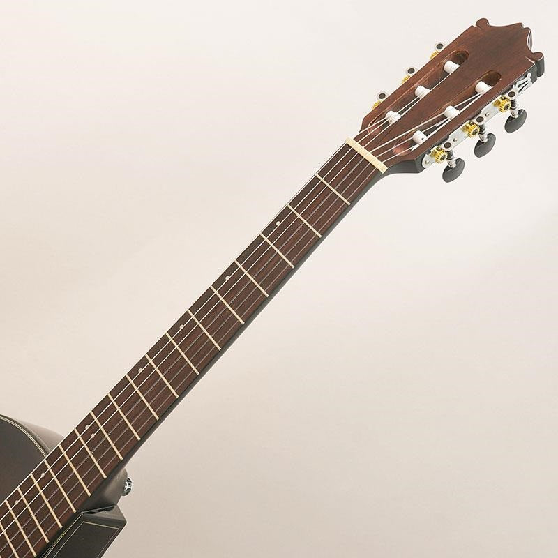 USED_GA30TCE_DVS_Ibanez_09