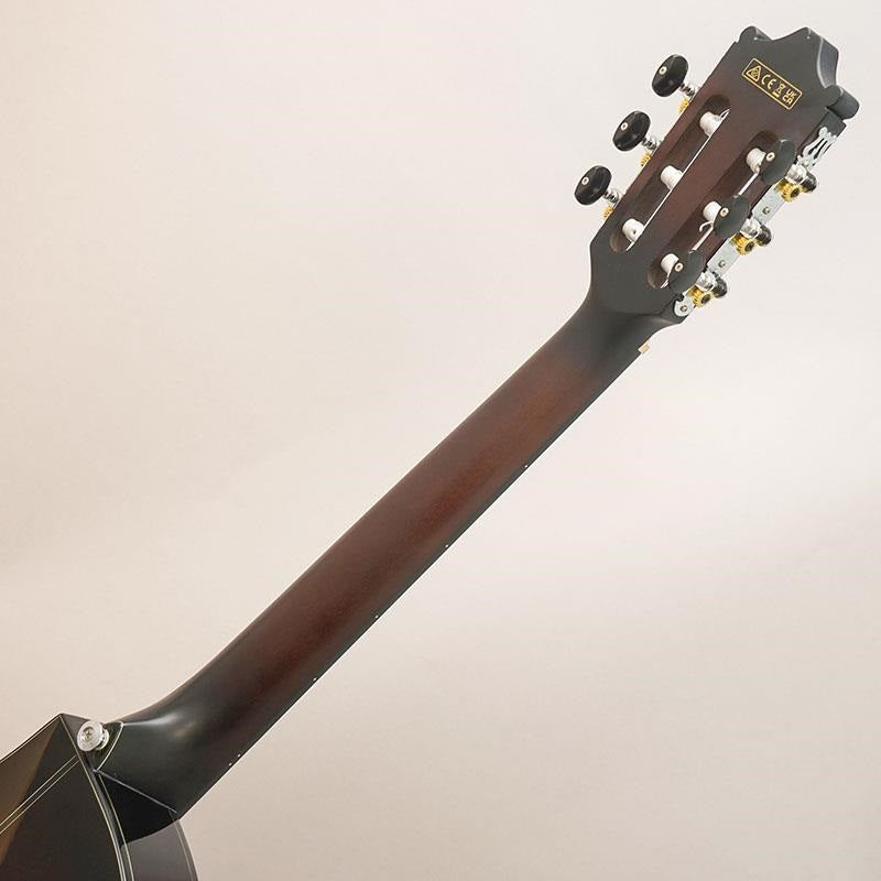USED_GA30TCE_DVS_Ibanez_10