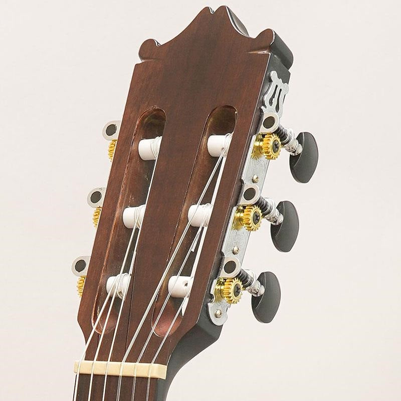 USED_GA30TCE_DVS_Ibanez_11