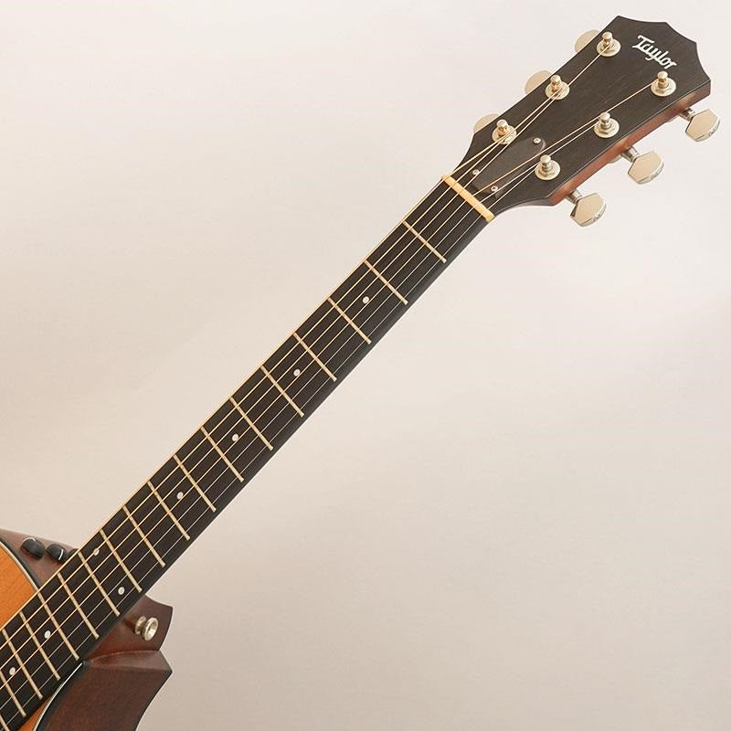 USED_312ce_Japan_LTD2017_Taylor_07