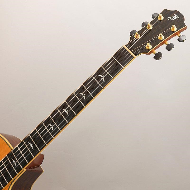 USED_OM23-AGCT_ELITE_Furch_07