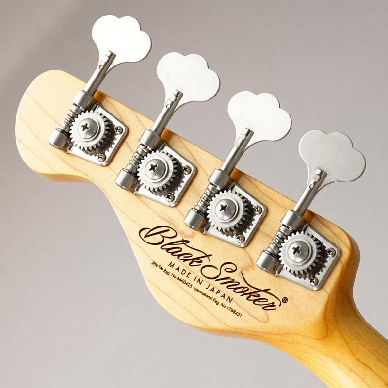 Trad_Master_Series_Beta_J4_(Inca_Silver_Light_Aged)_08