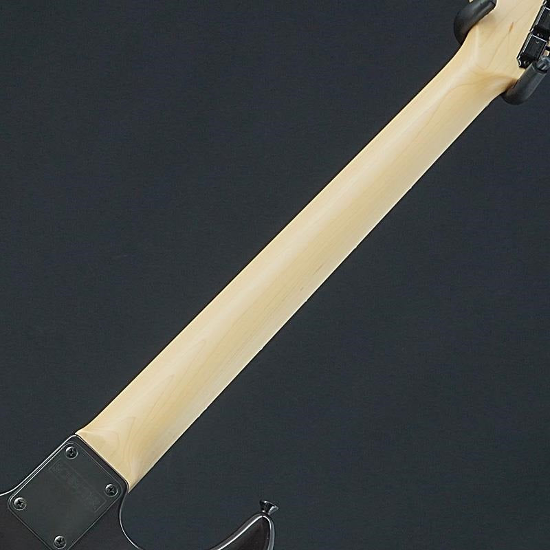 USED_Schecter_EX-5B-22_STD_VTR_(See-Thru_Black)_06