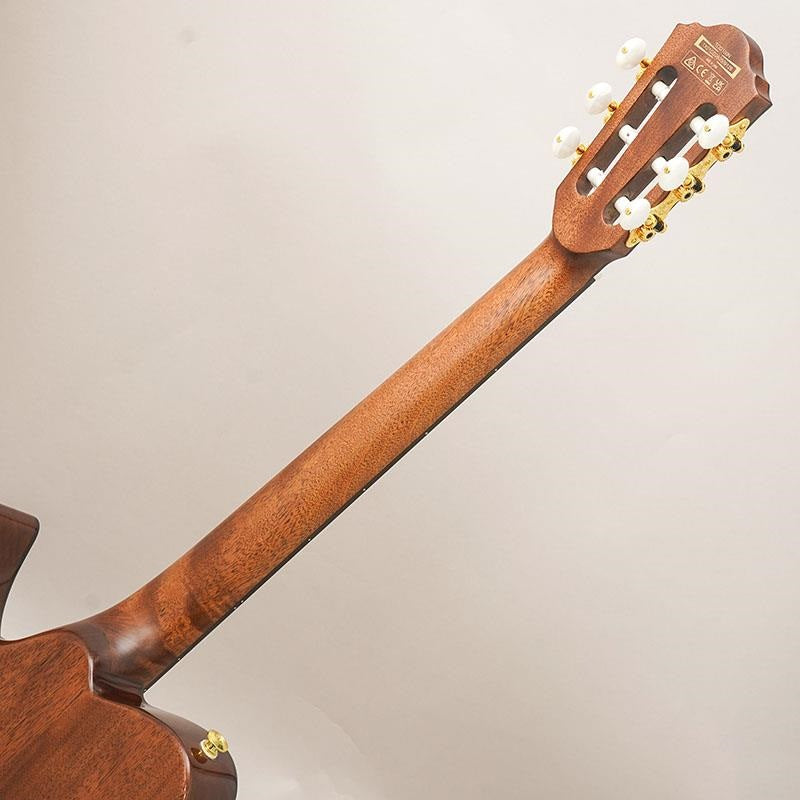 TOD100N-NT_Ibanez_09