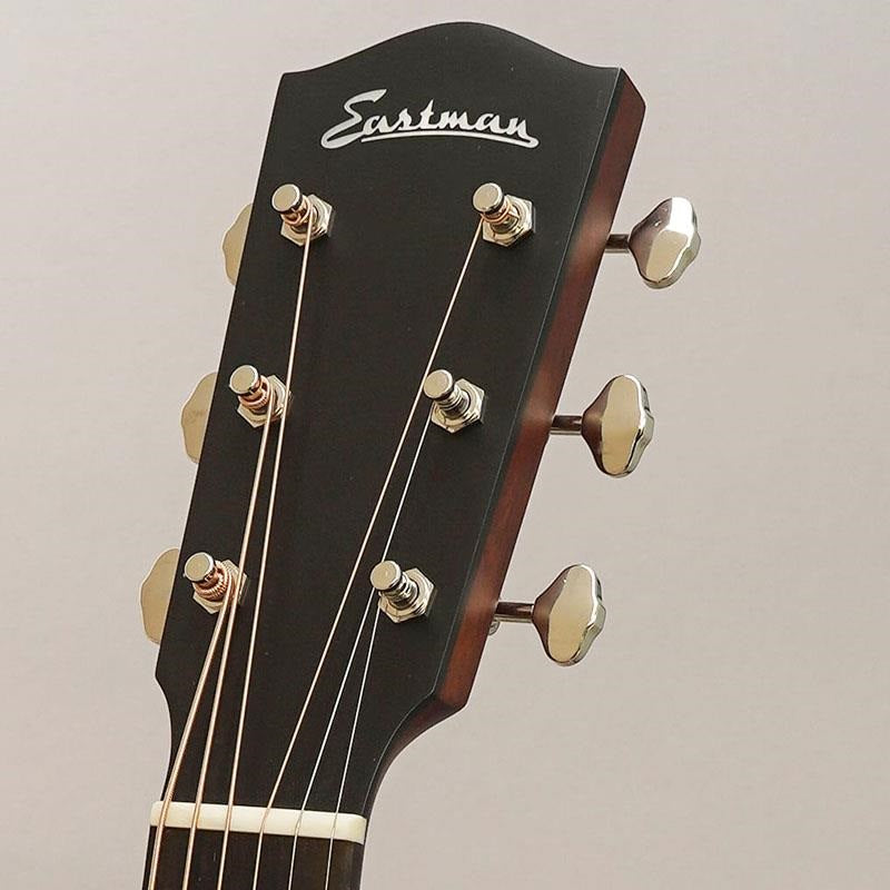 E1-SS-DLX-SB_Eastman_11