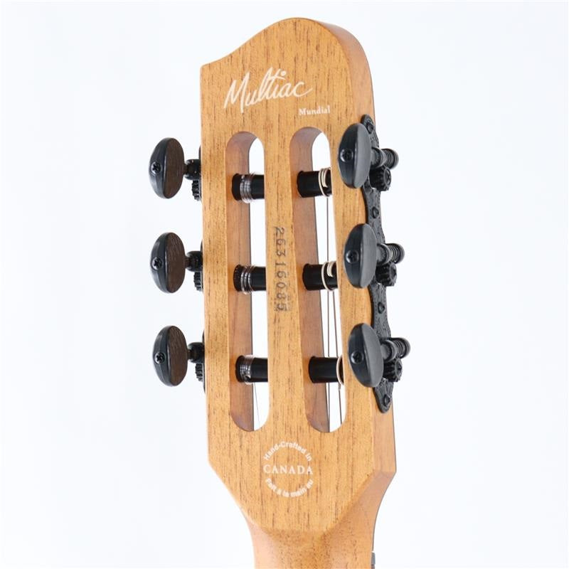 Multiac_Mundial_(Kanyon_Burst)_Godin_08