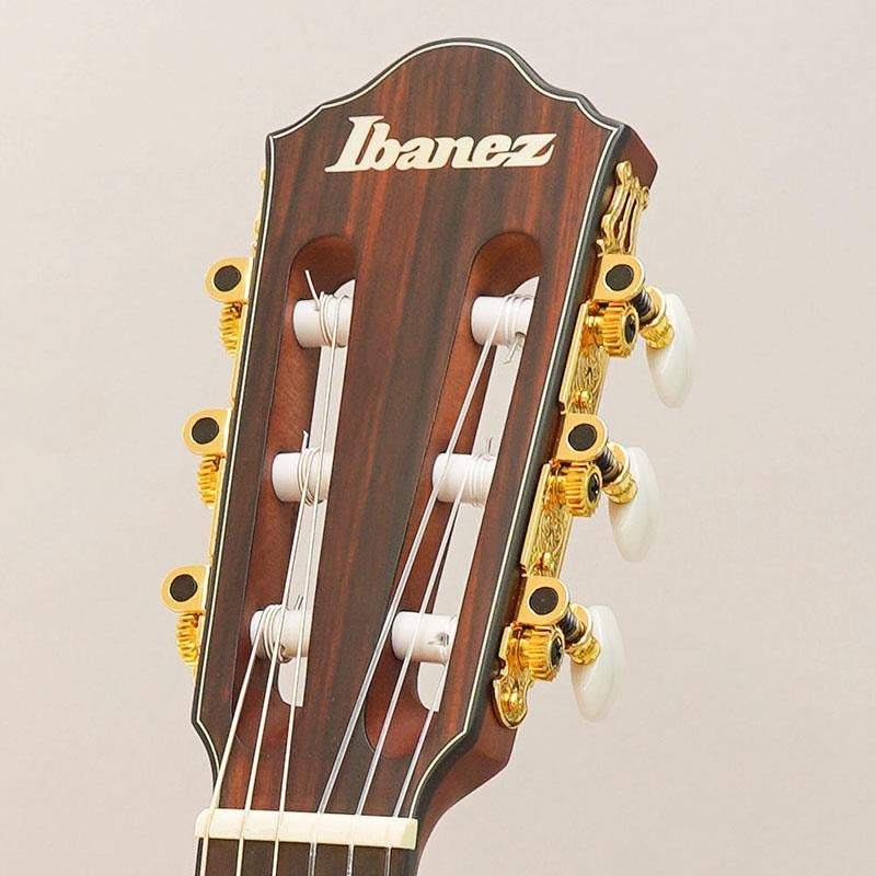 Ibanez_FRH10N-NTF_11