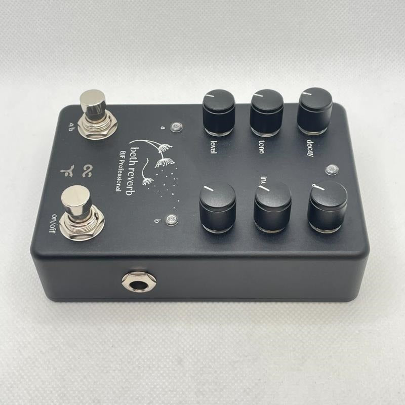 USED_Beth_Reverb_03