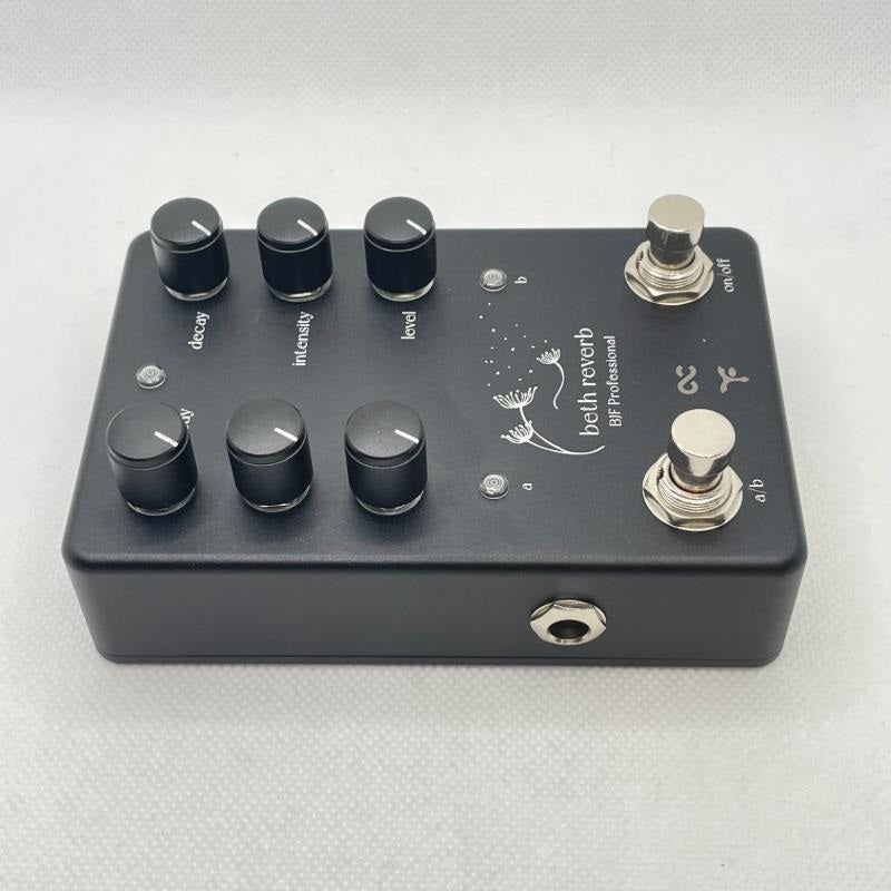 USED_Beth_Reverb_04