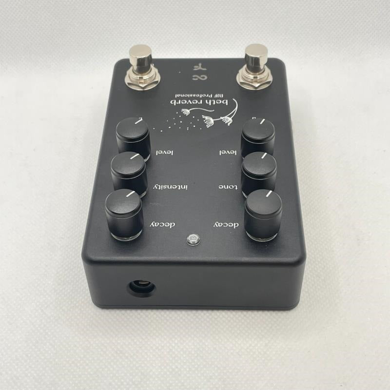 USED_Beth_Reverb_05
