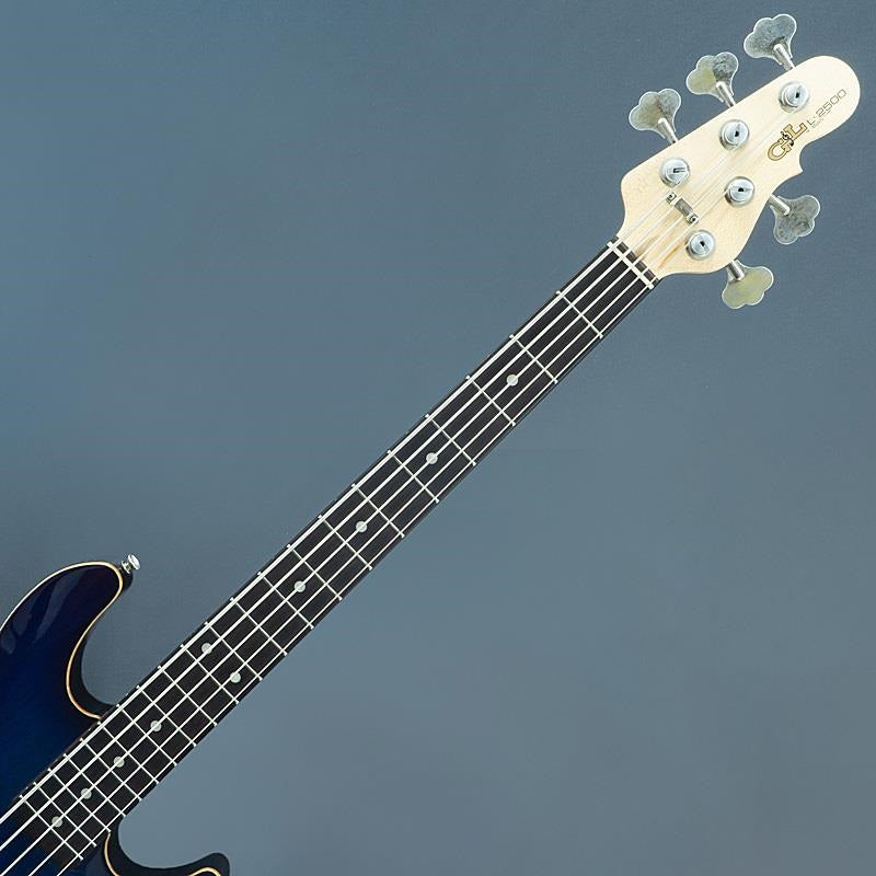 USED_USA_L-2500_Wood_Binding_(Blue_Burst_E)_05