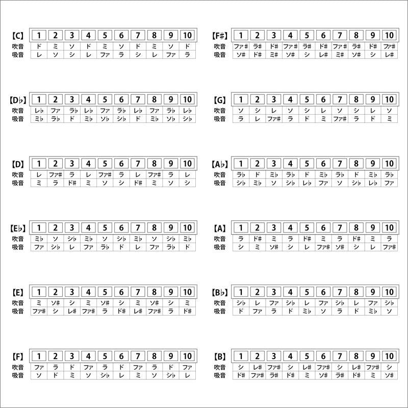 AH-10_F_Ten-hole_Harmonica_02