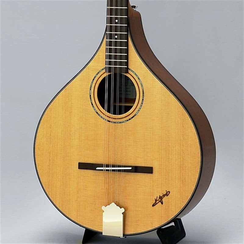 BOY-2_~Irish_Bozouki~_K_Yairi_01