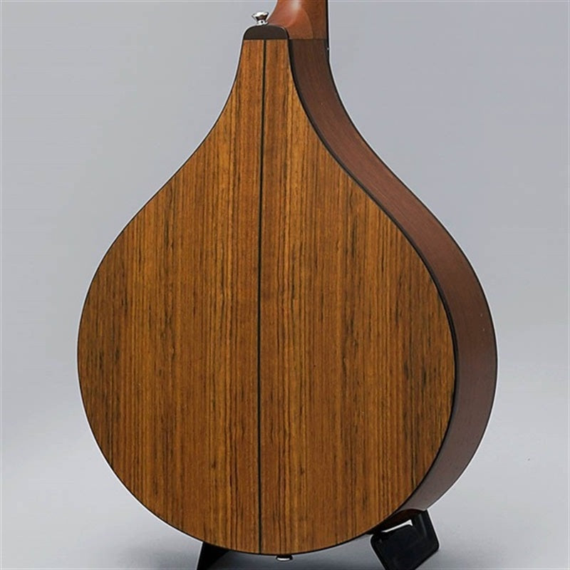 BOY-2_~Irish_Bozouki~_K_Yairi_02