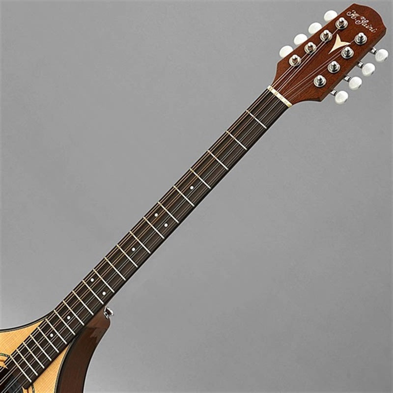 BOY-2_~Irish_Bozouki~_K_Yairi_05