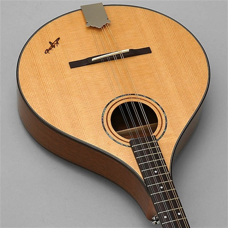 BOY-2_~Irish_Bozouki~_K_Yairi_07