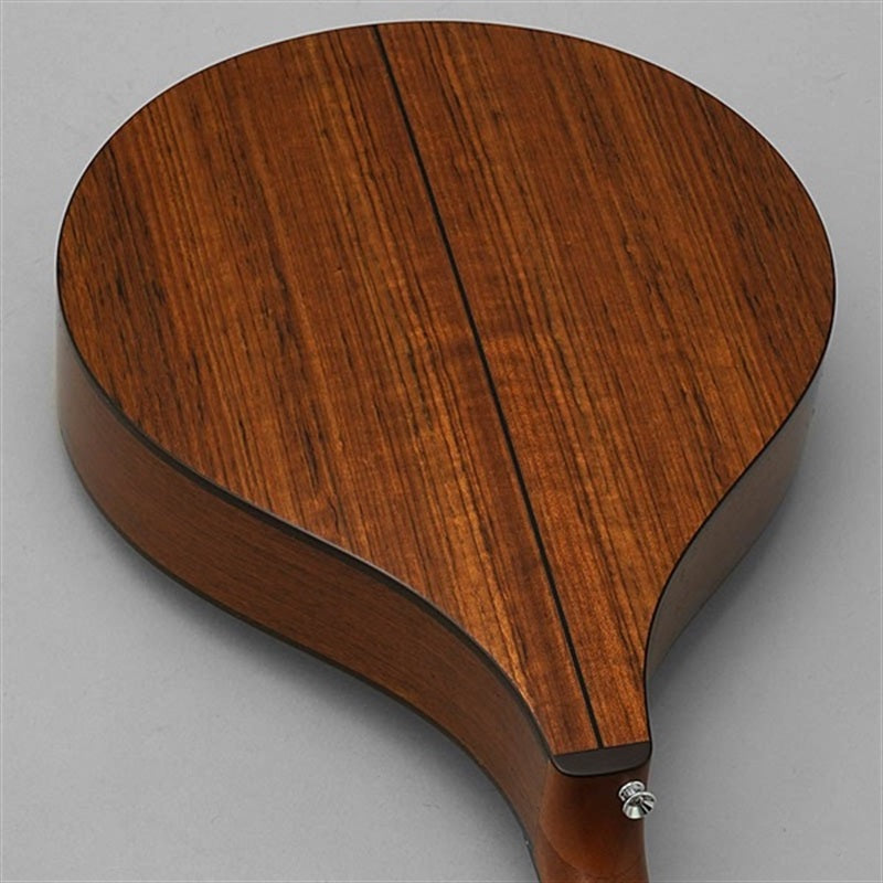 BOY-2_~Irish_Bozouki~_K_Yairi_08