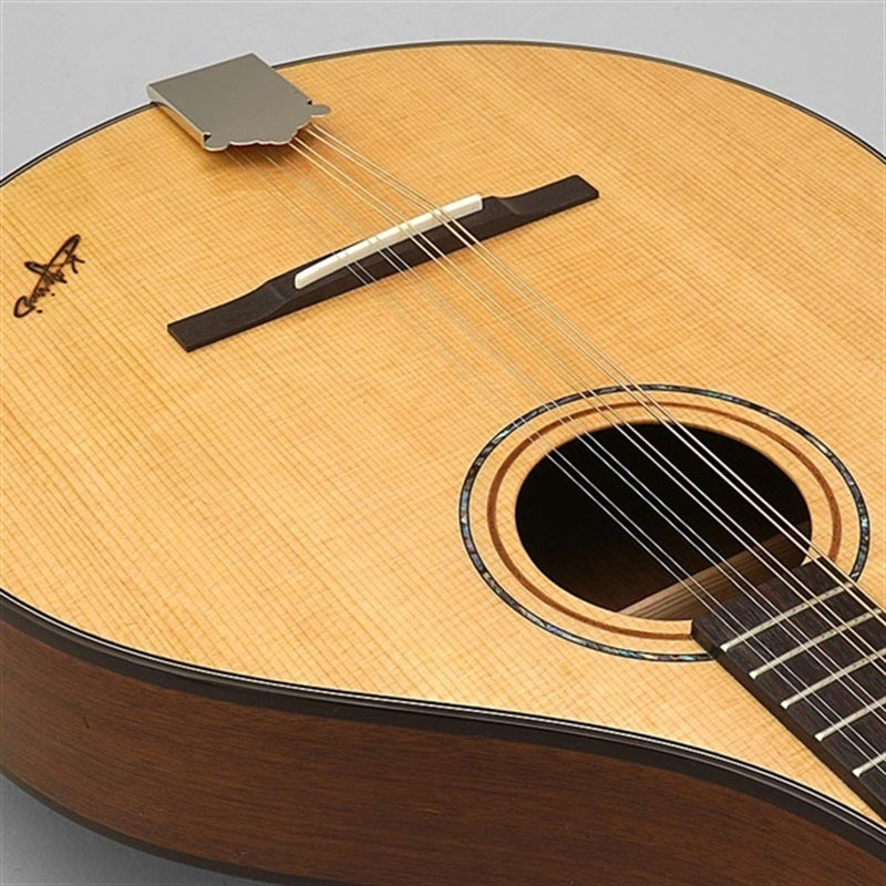 BOY-2_~Irish_Bozouki~_K_Yairi_09