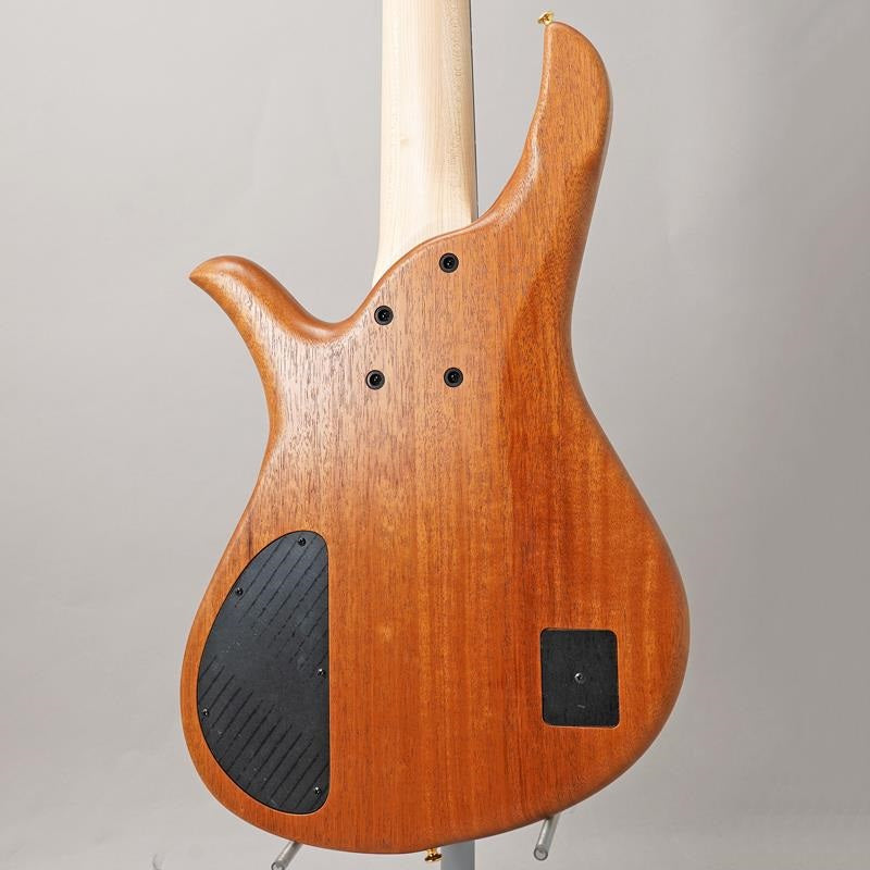 Beb-5_Burl_Karin_Fretless_03