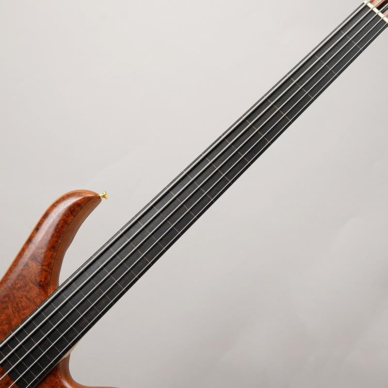 Beb-5_Burl_Karin_Fretless_05