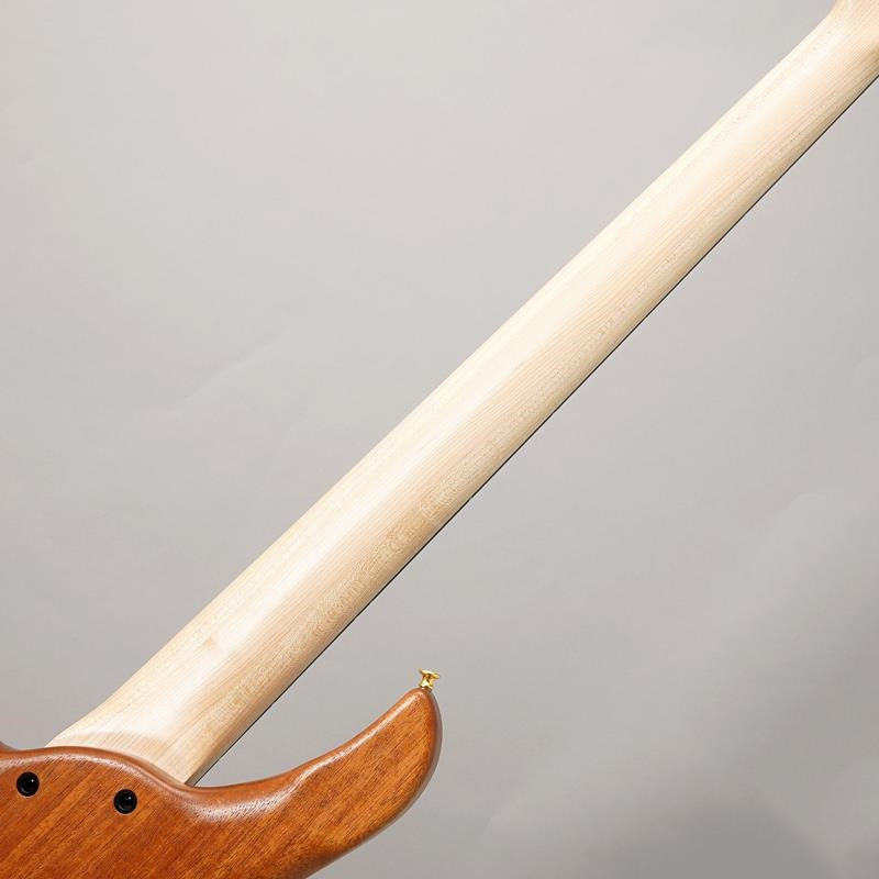 Beb-5_Burl_Karin_Fretless_06