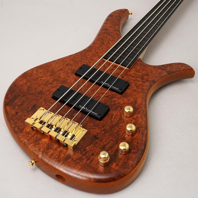 Beb-5_Burl_Karin_Fretless_09