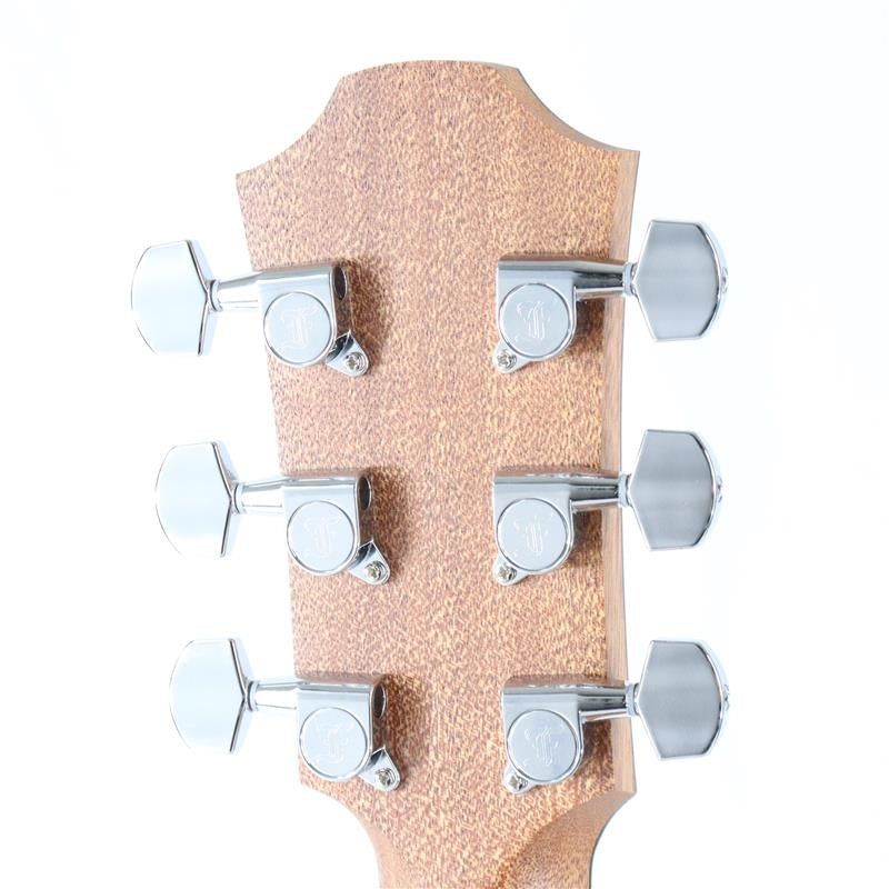 Blue_Plus_Gc-CMa_Forch_07