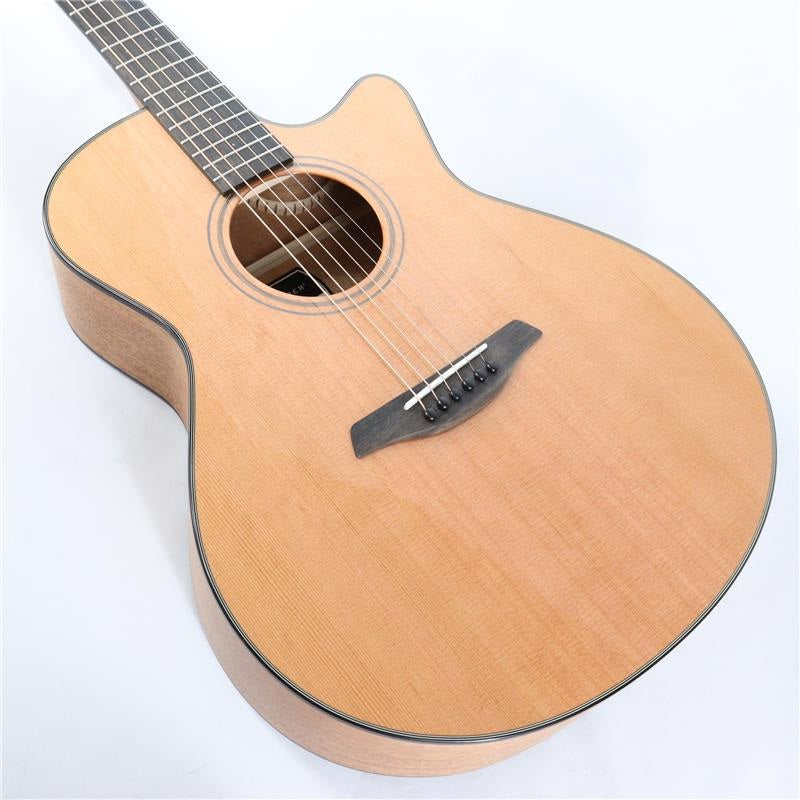 Blue_Plus_Gc-CMa_Forch_09