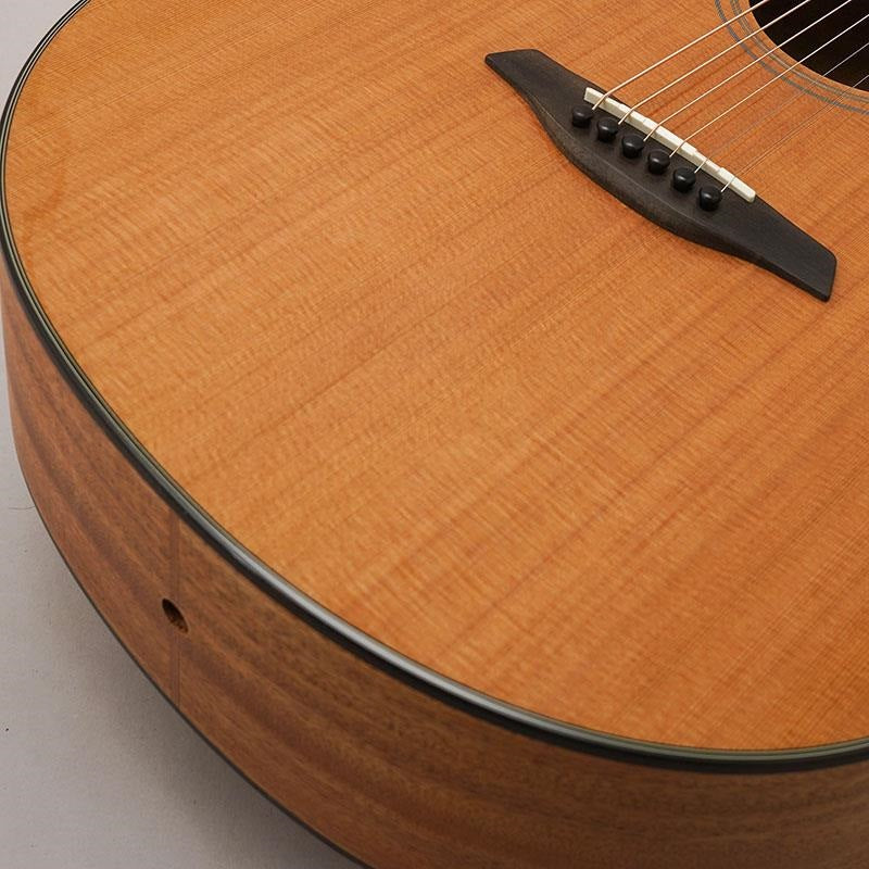 Blue_Plus_Gc-CMa_#135141_Forhi_08