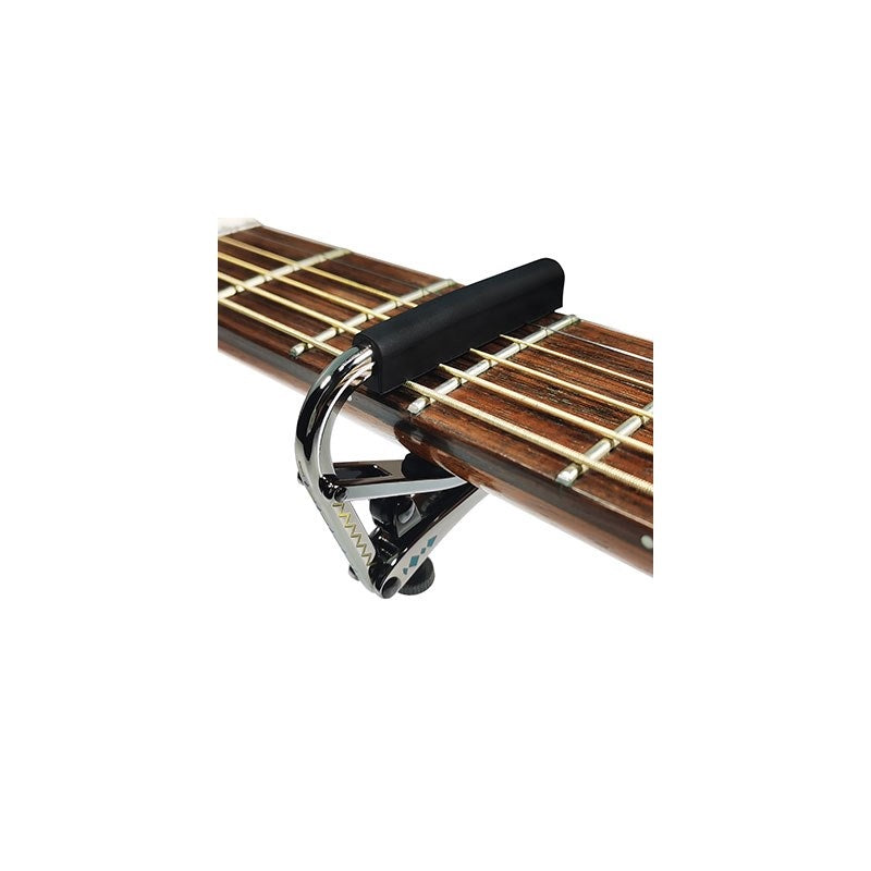 C1d_SHUBB_50th_Anniversary_Limited_Collection_02