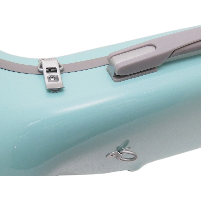 CC_Shiny_Case_II_Trumpet_Single_Case,_Normal,_Pastel_Blue_(PBL_G)_02