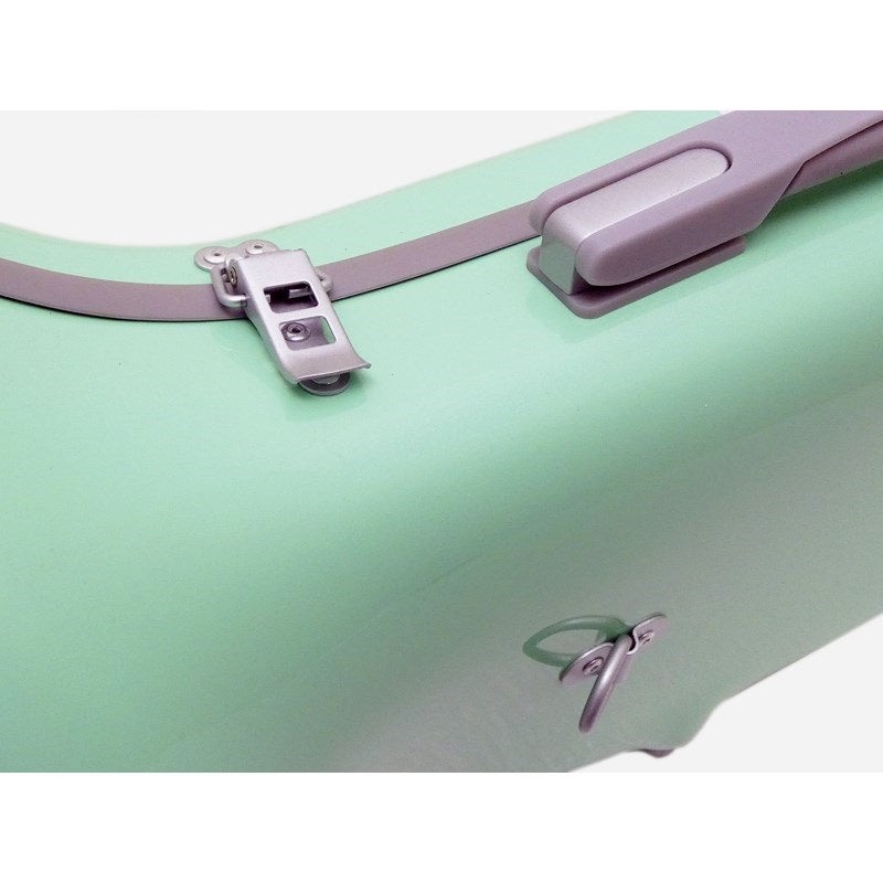 CC_Shiny_Case_II_Trumpet_Single_Case,_Normal,_Pastel_Green_(PG_G)_02