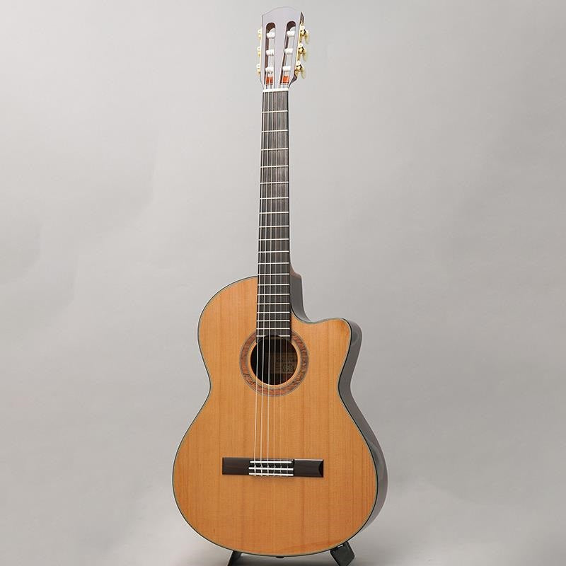 CTM_CE-3D_Select_Cedar_Top_~Ikebe_Original_Order_Model~_K_Yairi_03